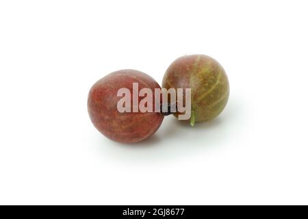 Ripe rosso Uva spina isolata su sfondo bianco Foto Stock