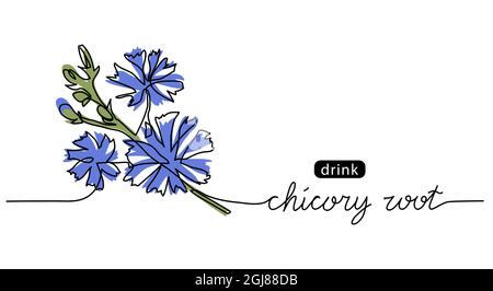 Cicoria, succoria, cichorium selvaggio blu fiore schizzo. Un disegno continuo della cicoria Illustrazione Vettoriale