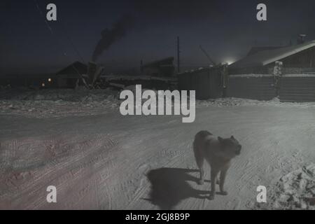 YAKUTSK /OYMYAKON 20140123 una vista notturna da una strada in Oymyakon, Russia. Il luogo più freddo della worldÂ è il piccolo villaggio di Oyyyakon, nella Russia nord-orientale. La temperatura ha una temperatura media invernale inferiore a -40C. La storia di OymyakonÂ iniziò come tappa per i pastori nomadi di renne. Oggi, il villaggio abita circa 500 persone e ospita una banca, ufficio postale, un piccolo aeroporto e una scuola. Foto Christoffer Hjalmarsson / TT Code 11355 *** OUT SWEDEN OUT *** Foto Stock