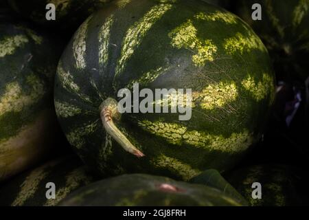 foto fotografica scura di un cocomero circondato da cocomeri d'acqua Foto Stock