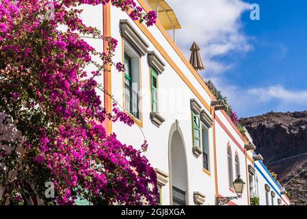 Spagna, Isole Canarie, Gran Canaria, Puerto de Puerto de Mogan, fiori Foto Stock