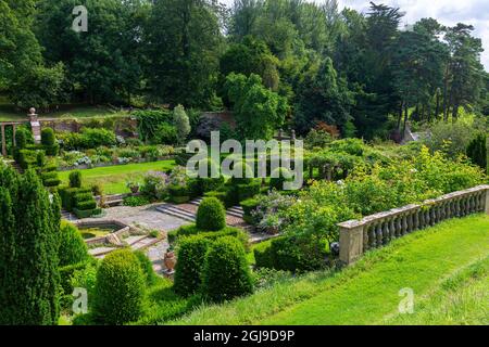 I confini colorati e topiary nel giardino italianate Fountain Court a Mapperton House, Dorset, Inghilterra, Regno Unito Foto Stock