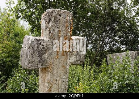 Stećci sulla necropoli di Ubosko i (pod Dubom, Republika Srpska, Bosnia-Erzegovina) Foto Stock