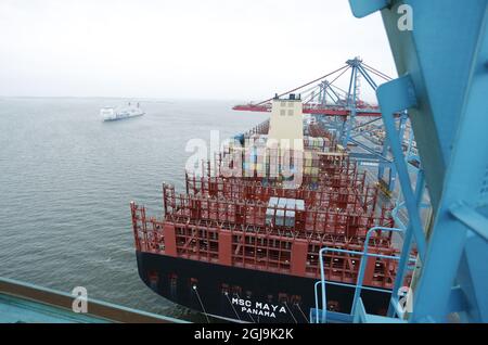 GOTHENBURG 2015-12-22 la nave container MSC Maya è vista nel porto di Gothenburg, Svezia, 22 dicembre 2015. La nave lunga 395 metri è in viaggio da nubile. Ha una larghezza di 59 metri e può trasportare 9 contenitori di 224 20 piedi. Foto: Adam IHSE / TT / Kod 9200 Foto Stock