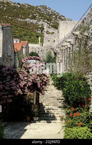 Mura e vicolo della città di Ston (Pelješac, Dalmazia, Croazia) Foto Stock