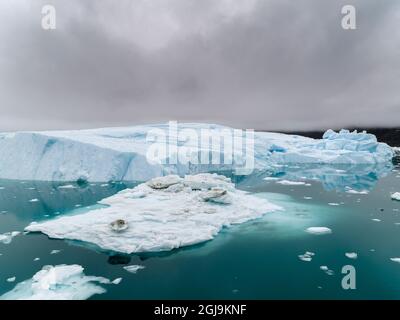 Iceberg nella baia di Disko, Groenlandia, territorio danese. Foto Stock