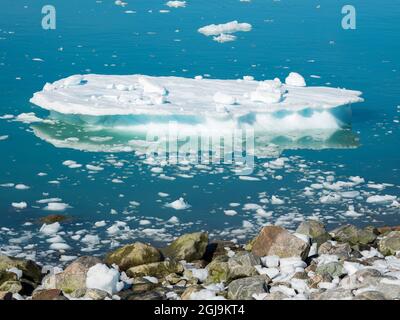 Fiordo con iceberg sulla riva, vicino al Ghiacciaio Eqip in Groenlandia, territorio danese. Foto Stock