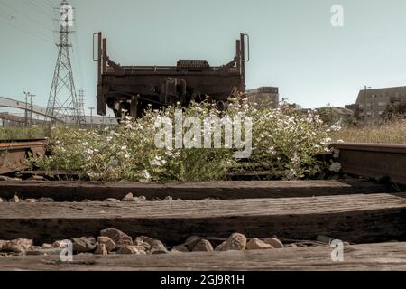 Binari per le vie di corsa utilizzati dalla Canadian National Railway a halifax nova scotia canada Foto Stock