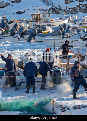 Le piccole imbarcazioni da pesca vengono liberate dal ghiaccio. Inverno nel porto ghiacciato della città Ilulissat sulla riva della baia di Disko. Groenlandia, Danimarca. (Editoriale Foto Stock