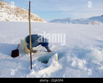 Raccogliere un sigillo da una trappola sotto il ghiaccio marino. Cacciatore inuit con pantaloni e stivali tradizionali realizzati in pelliccia di orso polare, vicino a Melville Bay Foto Stock