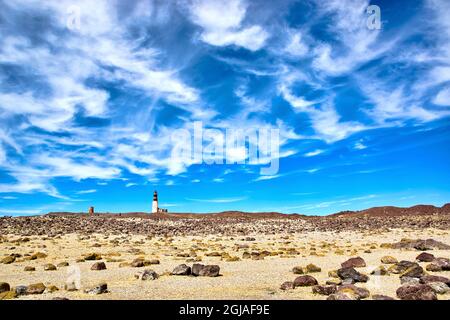 Argentina, Santa Cruz. Puerto Deseado, Isola dei Pinguini. Foto Stock