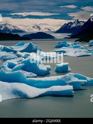 Ghiacciai e ghiacciai, Lago Gray, Parco Nazionale Torres del Paine, Patagonia, Cile. Foto Stock