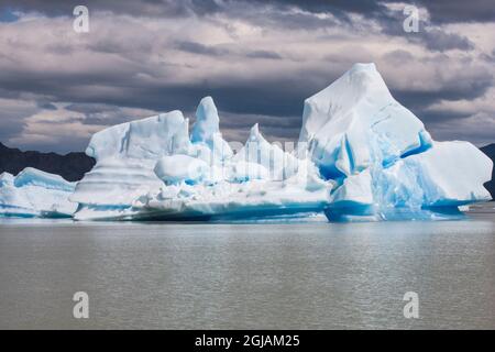 All'interno del Parc Nacional Torres del Paine si trova il Lago Gray dove si trovano sia ghiacciai che iceberg galleggianti. Foto Stock