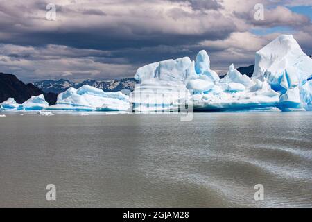 All'interno del Parc Nacional Torres del Paine, si trova il Lago Gray pieno di ghiacciai e ghiacciai Foto Stock