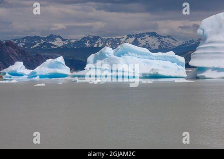 Nel Lago Gray, questi ghiacciai si sono staccati dal campo ghiacciato della Patagonia meridionale. Foto Stock