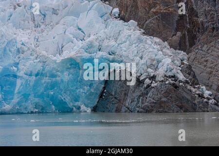 Situato all'interno del Parc Nacional Torres del Paine si trova il Lago Gray dove si trovano ghiacciai e iceberg. Foto Stock