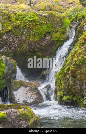 Situato all'interno del Parc Nacional, questa zona è chiamata Cascada Salta a causa delle cascate 'che saltano'. Foto Stock