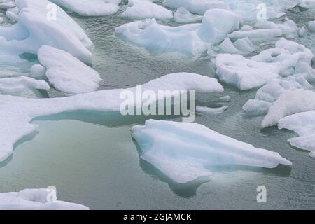 Come il ghiacciaio Serrano nel Parco Nazionale Bernardo o'Higgins in Cile, questi piccoli iceberg si accumulano sotto il ghiacciaio. Foto Stock