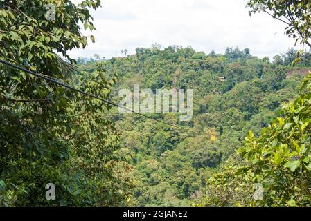 Ecuador, Mindo. Tarabita funivia sopra la foresta di nuvole di montagna Bosque Protector Mindo-Nambillo Foto Stock