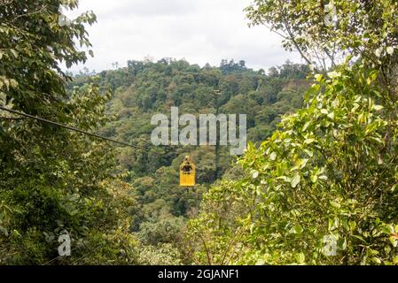 Ecuador, Mindo. Bosque Protector Mindo-Nambillo Tarabita funivia Foto Stock