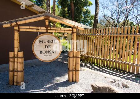 Ecuador, Quito. Jardin Botanico de Quito. Giardini botanici con esposizione di bonsai Foto Stock