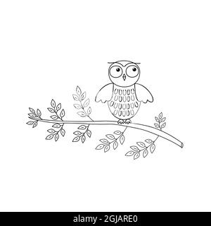 Carino cupolino seduto sul ramo dell'albero, semplice contorno disegno a mano vettore bianco e nero foresta uccello illustrazione, colorare pagina per il relax e la meditazione Illustrazione Vettoriale