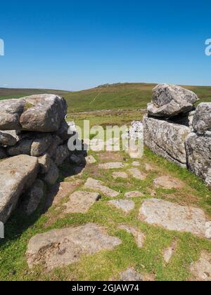Grimspound preistorico sotto Hookney Tor, Dartmoor National Park, Devon Foto Stock