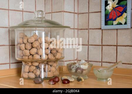 un vasetto di noci sgusciate, alcune castagne e un mortaio di vetro sul bancone della cucina Foto Stock