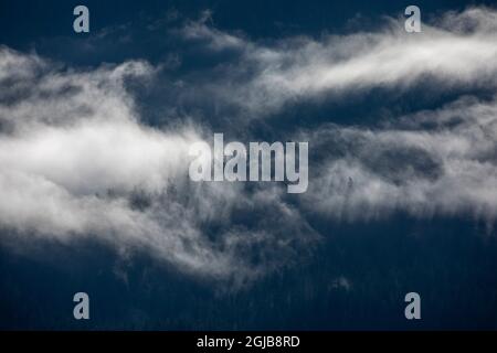 USA, Alaska, Tracy Arm-Fords terrore Wilderness, luci del sole mattina che liberano la nebbia sopra la foresta in montagne sopra Holkham Bay lungo il passaggio interno Foto Stock