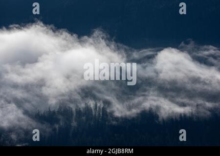 USA, Alaska, Tracy Arm-Fords terrore Wilderness, luci del sole mattina che liberano la nebbia sopra la foresta in montagne sopra Holkham Bay lungo il passaggio interno Foto Stock