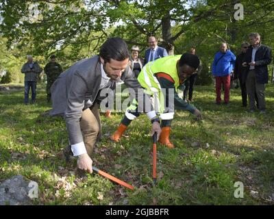 KUMMELON 2018-05-17 il principe Carl Philip è visto con gli immigrati che lavorano in lavori all'aperto a Kummelon, Varmland. Il principe, che è il duca di Varmland, sta facendo una visita di un giorno alla sua contea Foto: Anders Wiklund / TT / kod 10040 Foto Stock