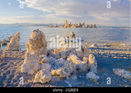 Tufas sul Lago Mono, Sierras orientale, California, USA Foto Stock