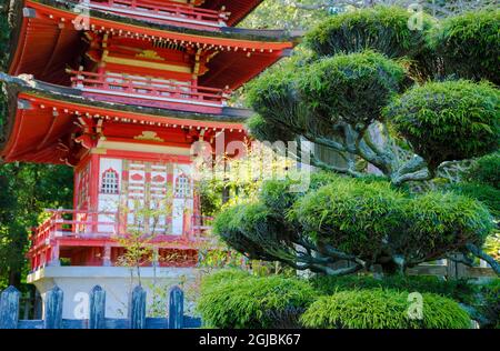 Pagoda, giardino giapponese del tè, Golden Gate Park di San Francisco, California, Stati Uniti d'America Foto Stock