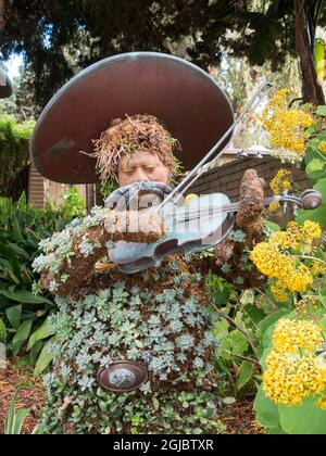 USA, California, San Diego. Mariachi topiary nel San Diego Botanical Garden, precedentemente Quail Botanical Garden. Foto Stock