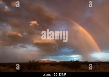 USA, California. Tempesta del deserto e arcobaleni, area naturalistica di Cadiz, Mojave Trails National Monument. Foto Stock