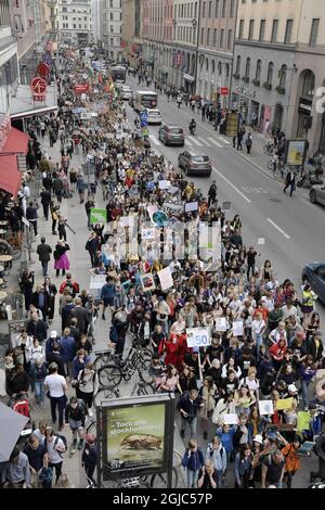 La manifestazione Global Strike for Future a Stoccolma, Svezia, 24 maggio 2019. Foto: Janerik Henriksson / TT kod 10010 Foto Stock