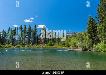 Lago Fallen Leaf nel lago Tahoe, CA, e profondo cielo blu, vibrante vegetazione verde Foto Stock