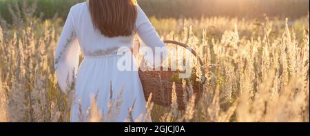 Una donna erborista raccoglie erbe naturali. Erbe nel cestello - inserire il testo. Banner Foto Stock