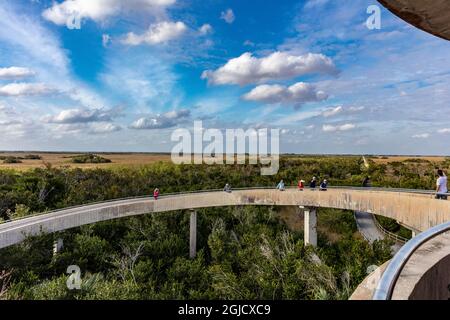 Vista della vasta zona umida dalla Shark Valley Observation Tower nell'Everglades National Park, Florida, USA Foto Stock