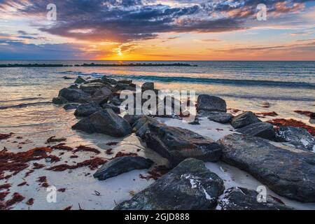 Tranquillo tramonto invernale sulla spiaggia di Honeymoon Island Foto Stock