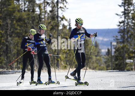 Sebastian Samuelsson (al centro) e la squadra svedese di biathlon che si allenano sugli sci a rulli a Ostersund, Svezia, 12 maggio 2020. Foto: Pontus Lundahl / TT code 10050 Foto Stock