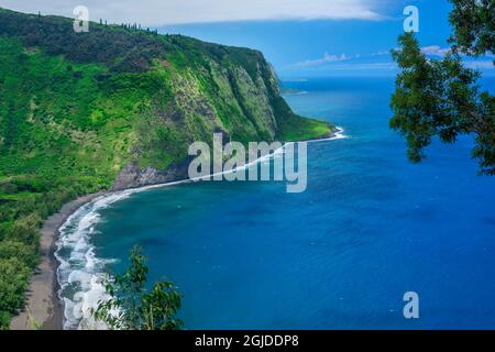 USA, Hawaii, Big Island of Hawaii. Waipio Valley, Waipio Bay e la lontana Riserva della Foresta Statale di Kohala da Waipio Scenic Overlook. Foto Stock