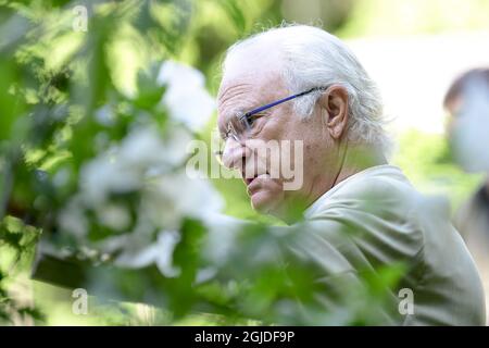 La coppia reale svedese re Carl Gustaf e la regina Silvia ha fotografato durante l'inaugurazione della mostra giardino 'Idétradgardar 2020' al Palazzo Solliden di Oland, Svezia, il 27 giugno 2020. Foto: Mikael Fritzon / TT / code 62360 Foto Stock