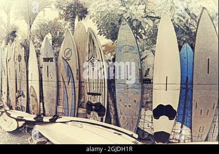 USA, Hawaii, Maui. Immagine infrarossa della linea di recinzione del surf in palme Foto Stock