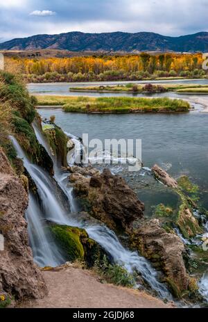 Cascate di Fall Creek paesaggio e autunno cottonwood alberi vicino Swan Valley e Idaho Falls, Idaho Foto Stock