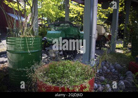 Il parco divertimenti Grona Lund di Stoccolma, Svezia, sembra vuoto e deserta. Il parco non è stato in grado di aprirsi per tutto quest'anno a causa del divieto di tutti gli incontri e gli eventi pubblici con più di 50 persone a causa della pandemia del coronavirus (COVID-19). Foto: Piante da giardino che prendono il controllo del parco Foto: Nils Petter Nilsson / Aftonbladet / TT code 2512 Foto Stock