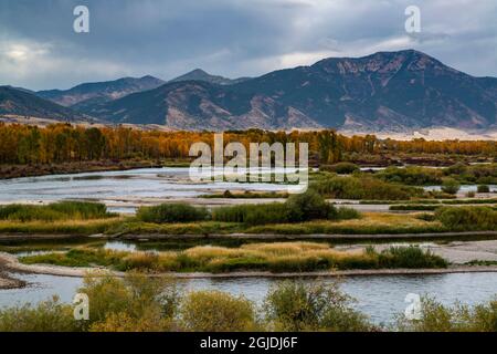 Vegetazione autunnale, South Fork Snake River vicino, Idaho Falls e Swan Valley, Idaho Foto Stock