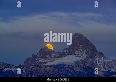 Luna piena che sorge su Grand Teton e Mount Owen come visto da Driggs, Idaho Foto Stock