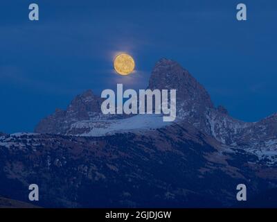 Luna piena che sorge su Grand Teton e Mount Owen come visto da Driggs, Idaho Foto Stock