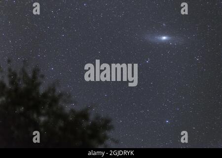 La Galassia Andromeda visto in una notte chiara Foto: P-M Hedén / TT / code 11050 Foto Stock